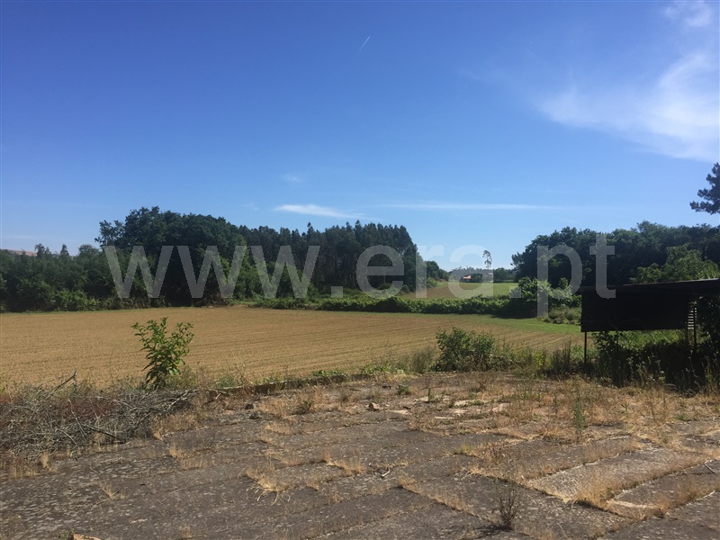 Quinta  Santo Tirso, Água Longa - 1259941 - 15