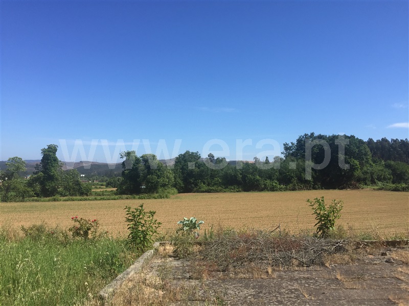 Quinta  Santo Tirso, Água Longa - 1259941 - 16
