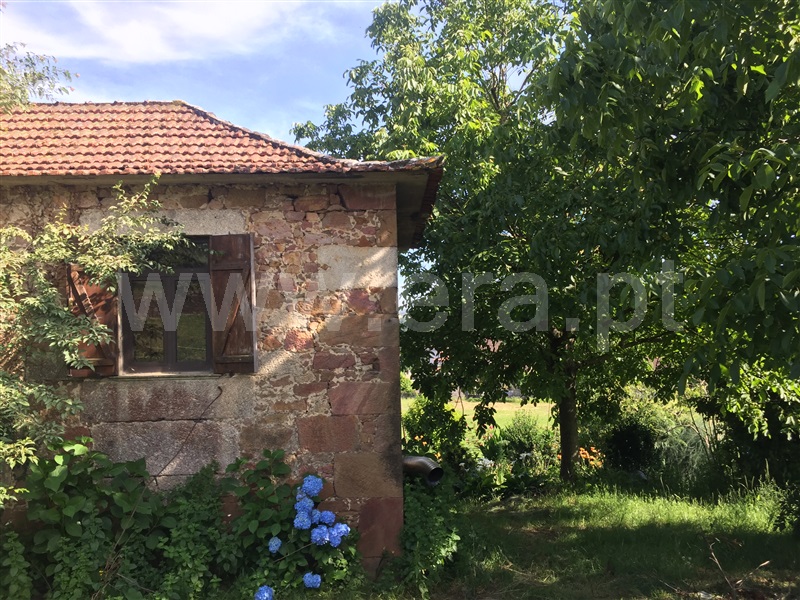 Quinta  Santo Tirso, Carreira e Refojos de Riba de Ave - 1259947 - 3