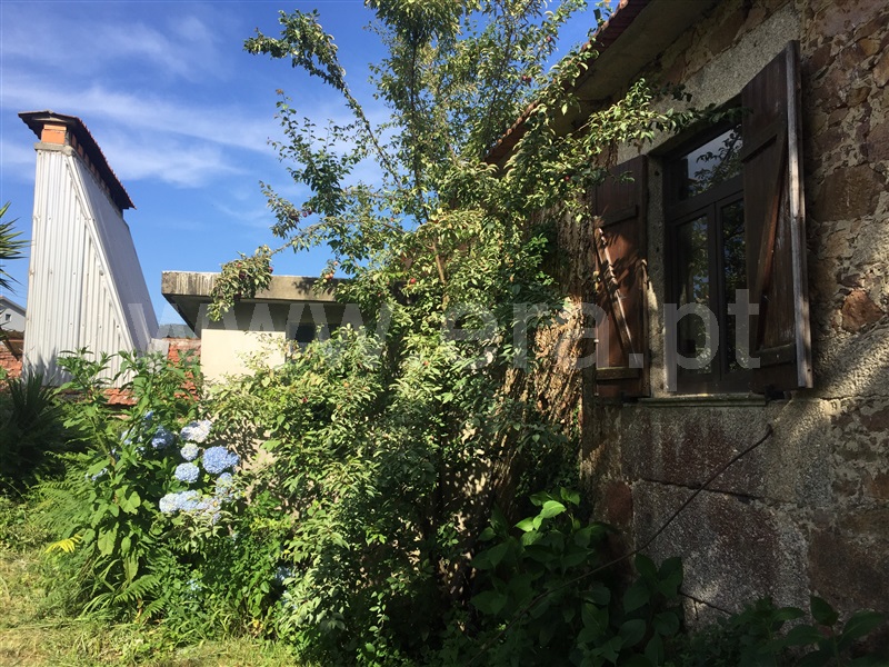 Quinta  Santo Tirso, Carreira e Refojos de Riba de Ave - 1259947 - 4