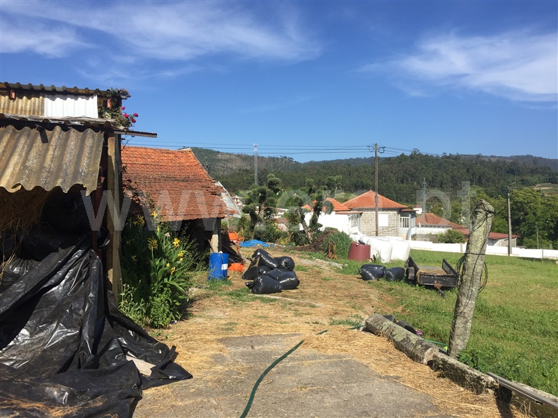 Quinta  Santo Tirso, Carreira e Refojos de Riba de Ave - 1259947 - 9