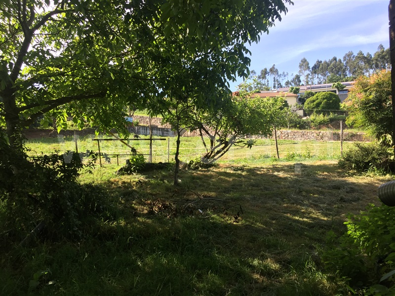Quinta  Santo Tirso, Carreira e Refojos de Riba de Ave - 1259947 - 13