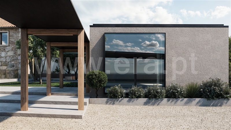 Quinta  Santo Tirso, Carreira - 1259947 - 17