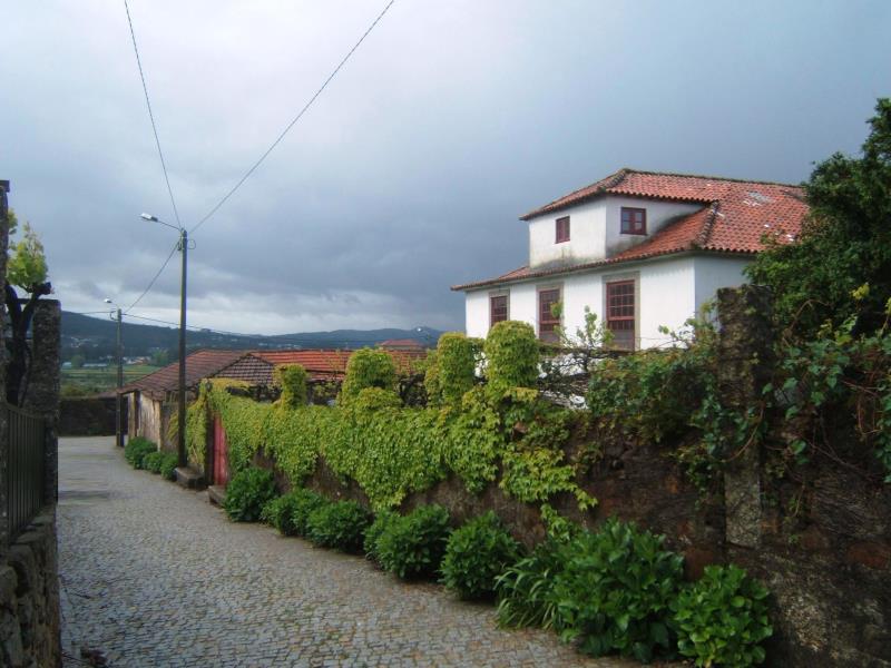 Quinta  Santo Tirso, Carreira - 181421 - 2