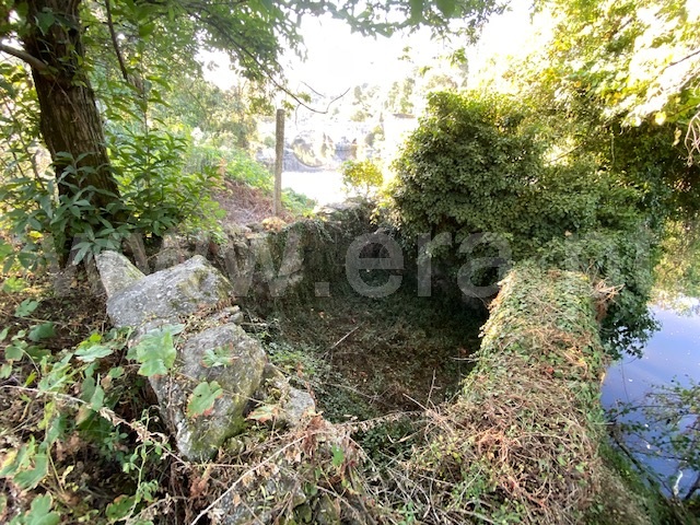 Quinta  Santo Tirso, Rebordões - 1336556 - 2