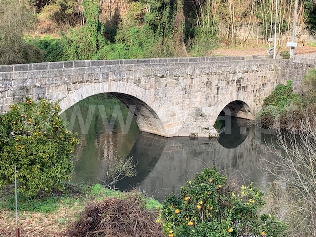 Quinta  Santo Tirso, Rebordões - 1336556 - 6