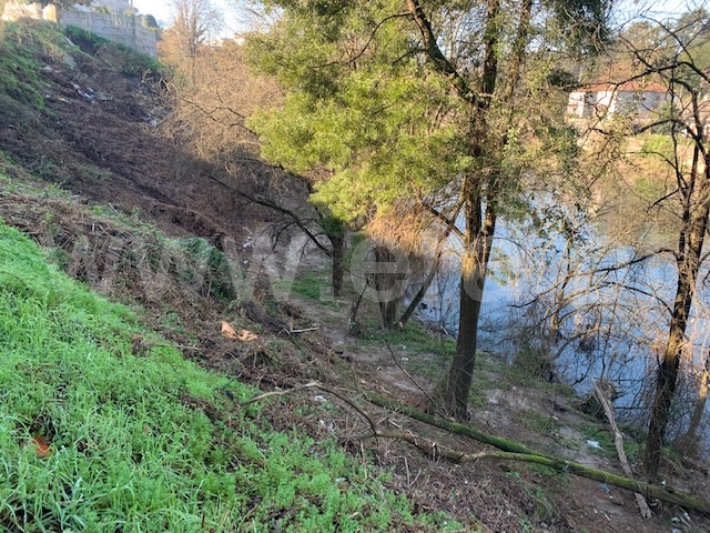 Quinta  Santo Tirso, Rebordões - 1336556 - 14
