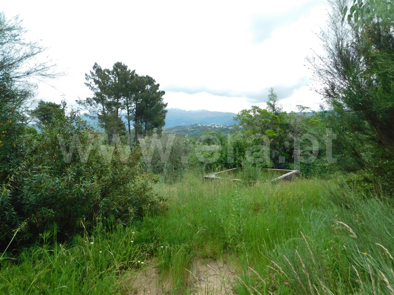 Quinta / Seia, Carragozela e Várzea de Meruge