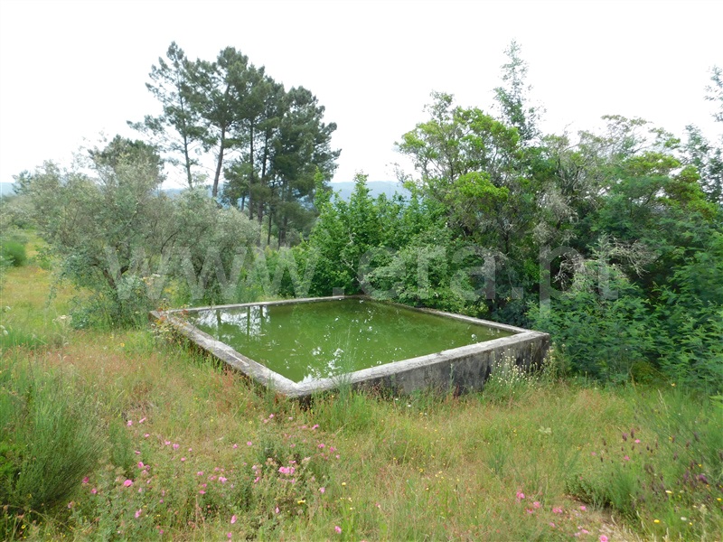 Quinta  Seia, Carragozela e Várzea de Meruge - 1407268 - 3