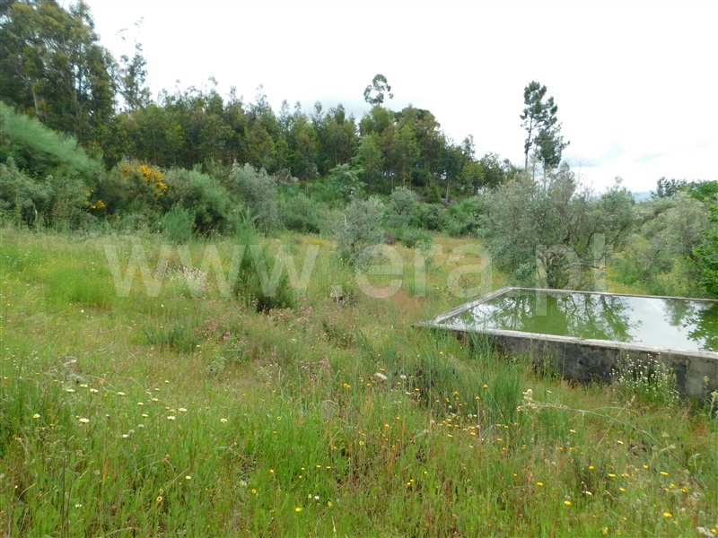 Quinta  Seia, Carragozela e Várzea de Meruge - 1407268 - 8
