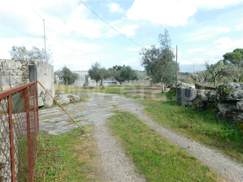Quinta  Seia, Girabolhos - 1313224 - 3