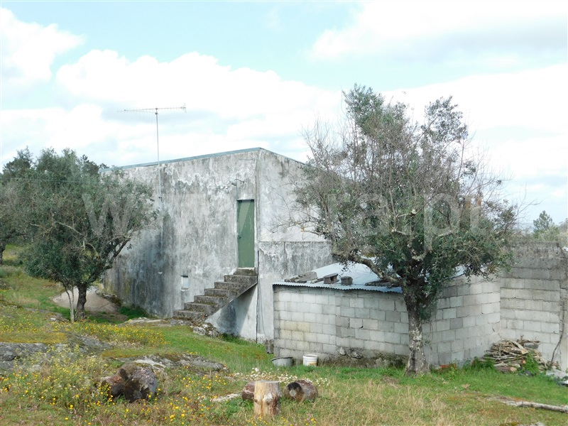 Quinta  Seia, Girabolhos - 1313224 - 6