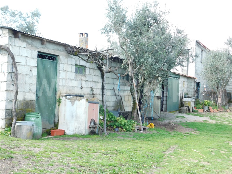 Quinta  Seia, Girabolhos - 1313224 - 10