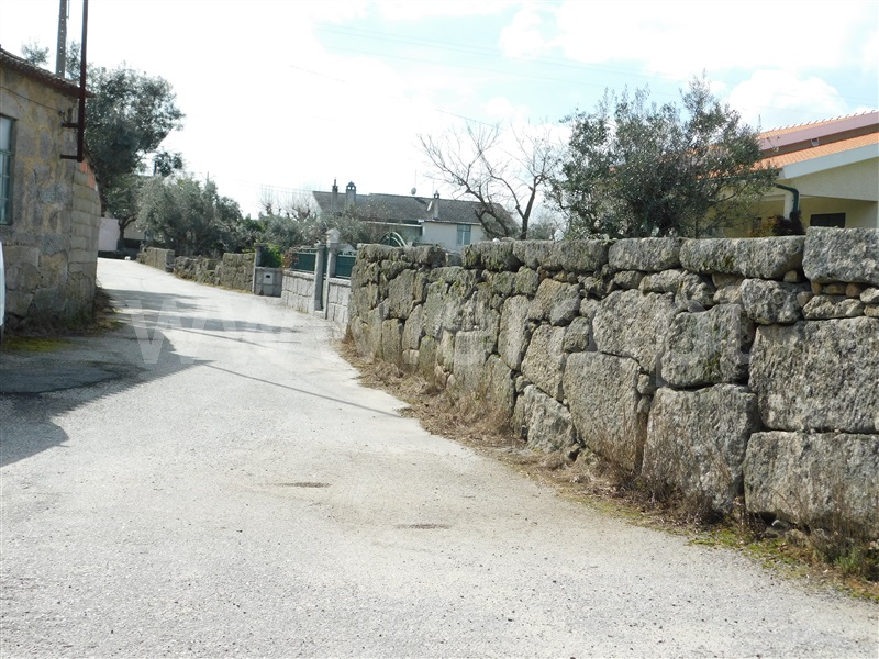 Quinta  Seia, Girabolhos - 1313224 - 16