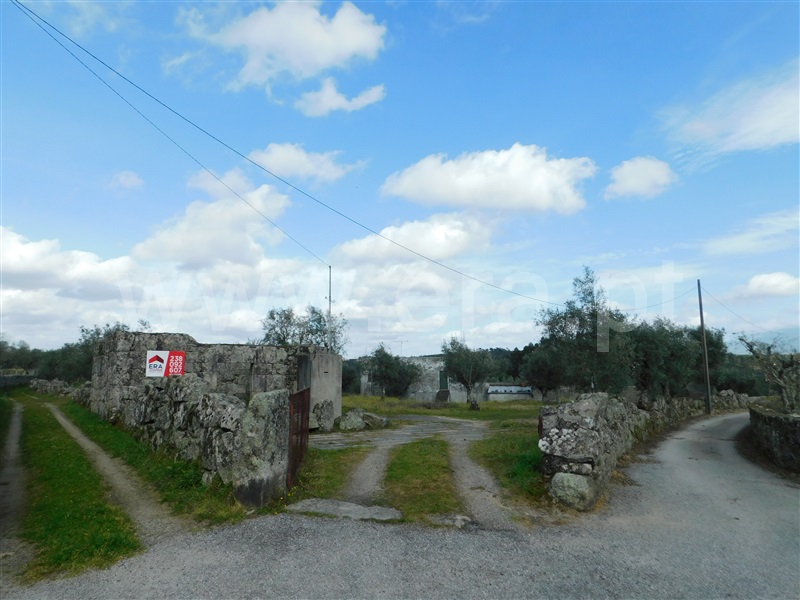 Quinta  Seia, Girabolhos - 1313224 - 17