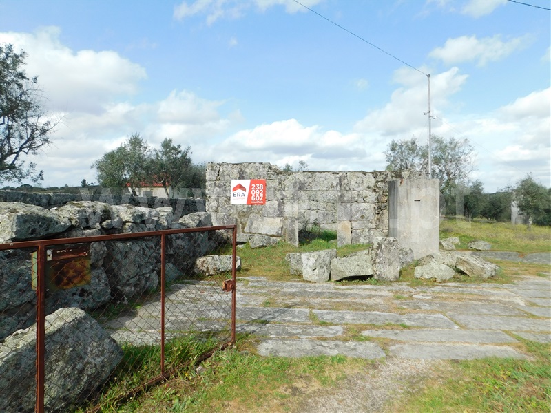Quinta  Seia, Girabolhos - 1313224 - 19