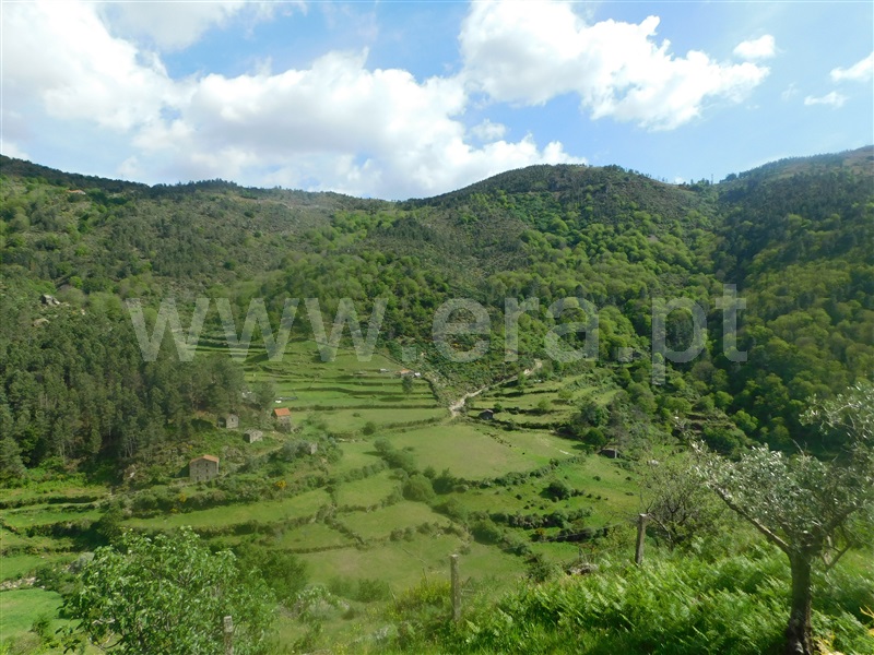 Quinta / Seia, Loriga