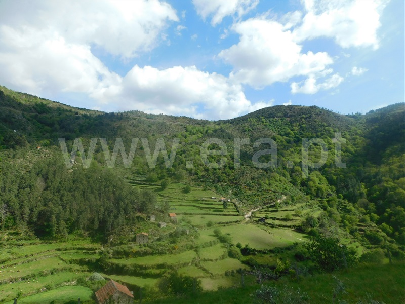 Quinta  Seia, Loriga - 1407062 - 2