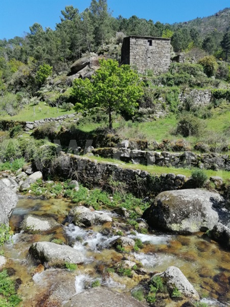 Quinta  Seia, Loriga - 1407062 - 3