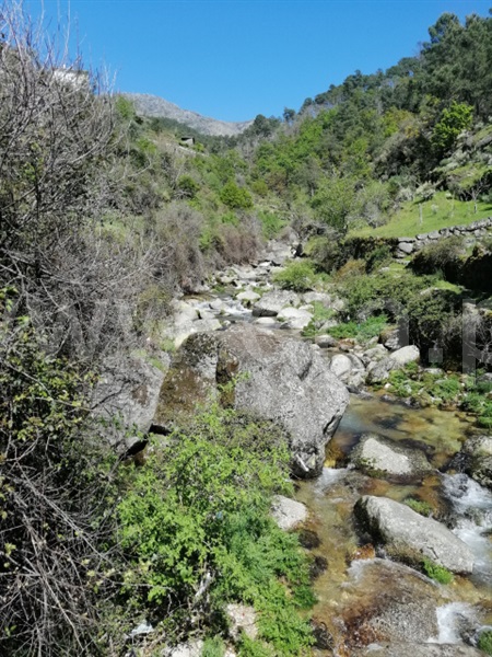 Quinta  Seia, Loriga - 1407062 - 4
