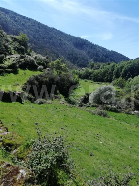 Quinta  Seia, Loriga - 1407062 - 7
