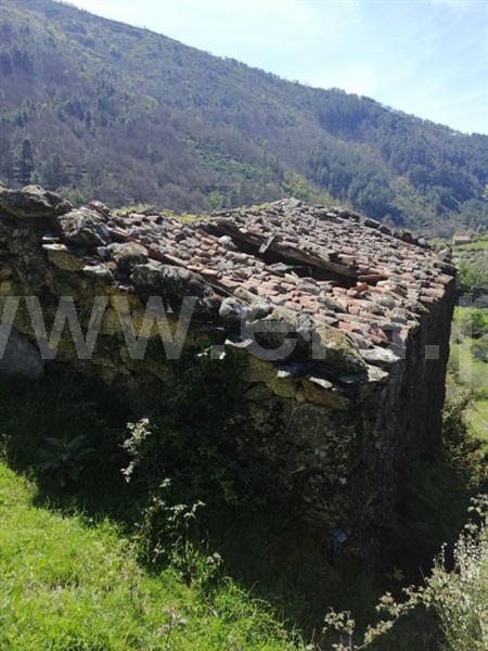 Quinta  Seia, Loriga - 1407062 - 9