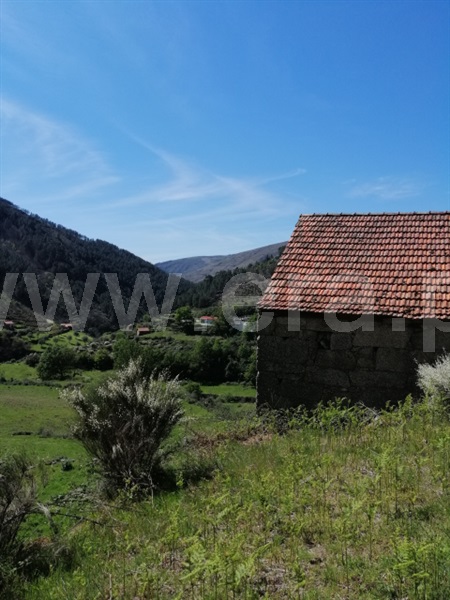 Quinta  Seia, Loriga - 1407062 - 11