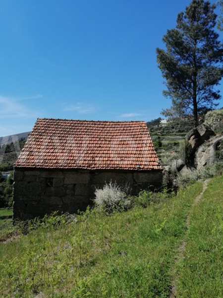 Quinta  Seia, Loriga - 1407062 - 12