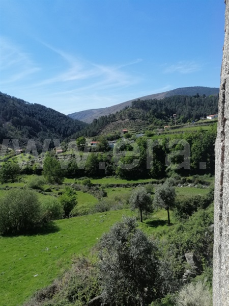 Quinta  Seia, Loriga - 1407062 - 13