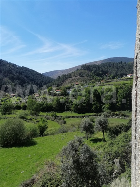 Quinta  Seia, Loriga - 1407062 - 14