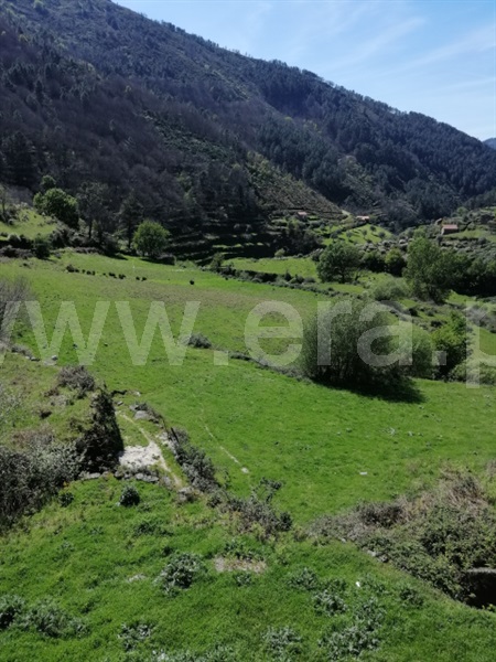 Quinta  Seia, Loriga - 1407062 - 16