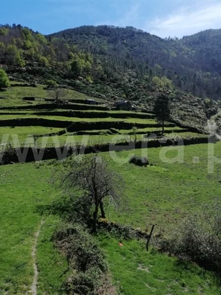 Quinta  Seia, Loriga - 1407062 - 17