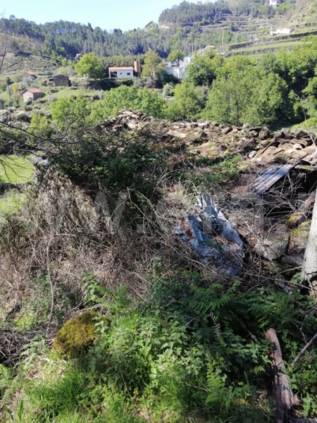 Quinta  Seia, Loriga - 1407062 - 20