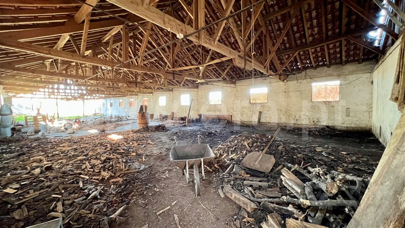 Quinta  Seia, Paranhos da Beira - 1445965 - 4