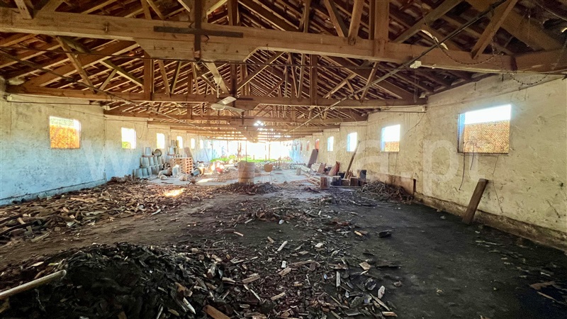 Quinta  Seia, Paranhos da Beira - 1445965 - 5