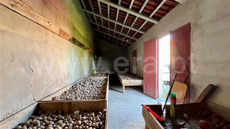 Quinta  Seia, Paranhos da Beira - 1445965 - 10