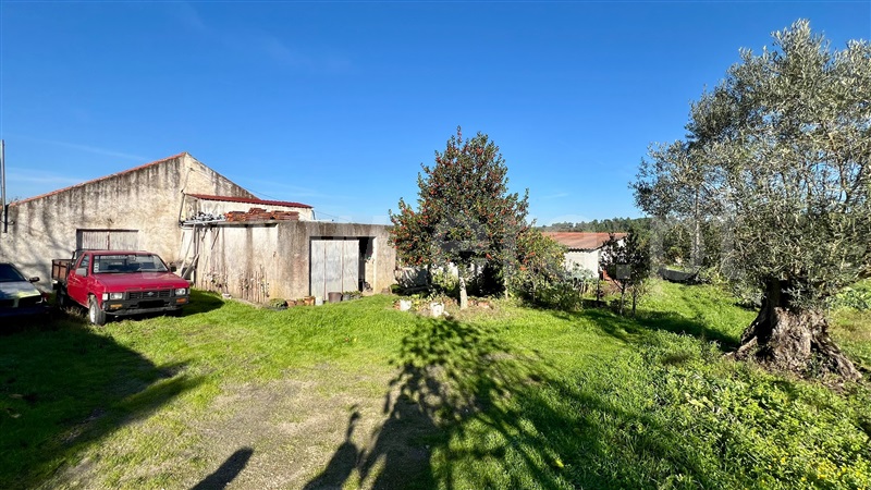 Quinta  Seia, Paranhos da Beira - 1445965 - 18