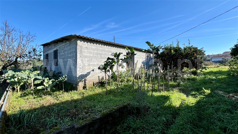 Quinta  Seia, Paranhos da Beira - 1445965 - 20