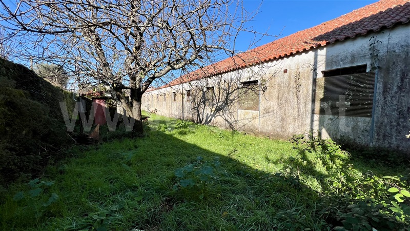 Quinta  Seia, Paranhos da Beira - 1445965 - 35