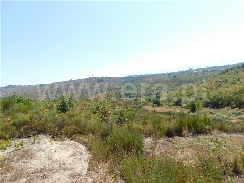 Quinta  Seia, Paranhos - 1288291 - 5