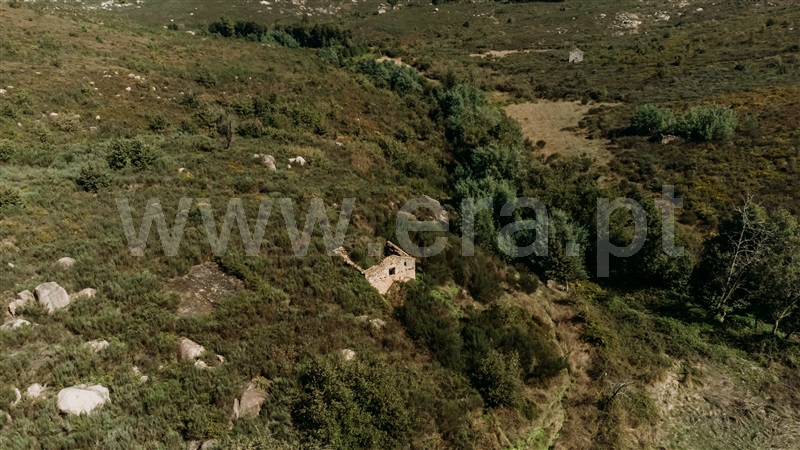 Quinta  Seia, Paranhos - 1288291 - 6