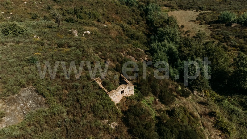 Quinta  Seia, Paranhos - 1288291 - 7