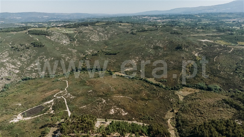 Quinta  Seia, Paranhos - 1288291 - 11