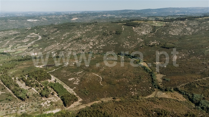 Quinta  Seia, Paranhos - 1288291 - 12