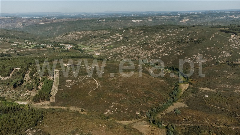 Quinta  Seia, Paranhos - 1288291 - 13