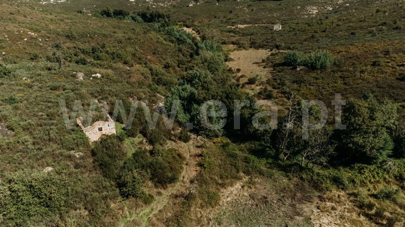 Quinta  Seia, Paranhos - 1288291 - 18