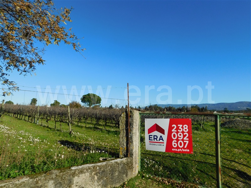 Quinta  Seia, Paranhos - 1452968 - 1