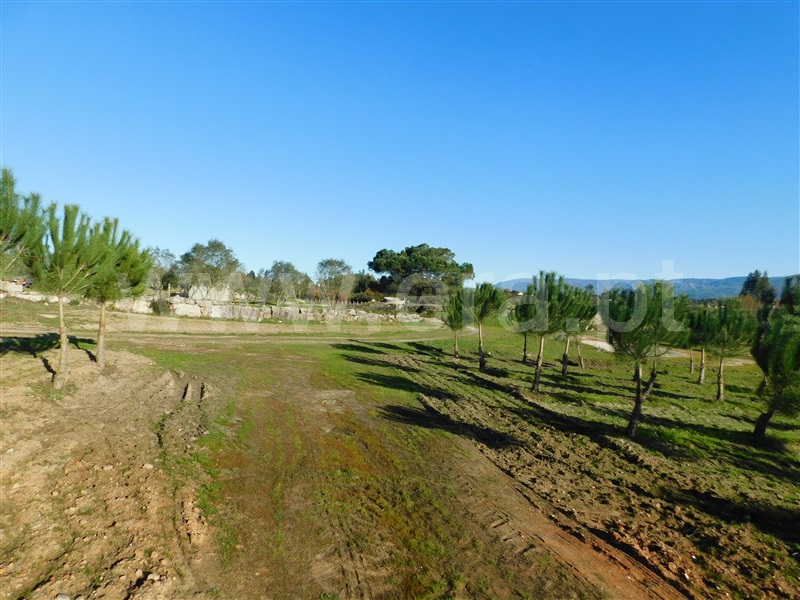 Quinta  Seia, Paranhos - 1452968 - 6