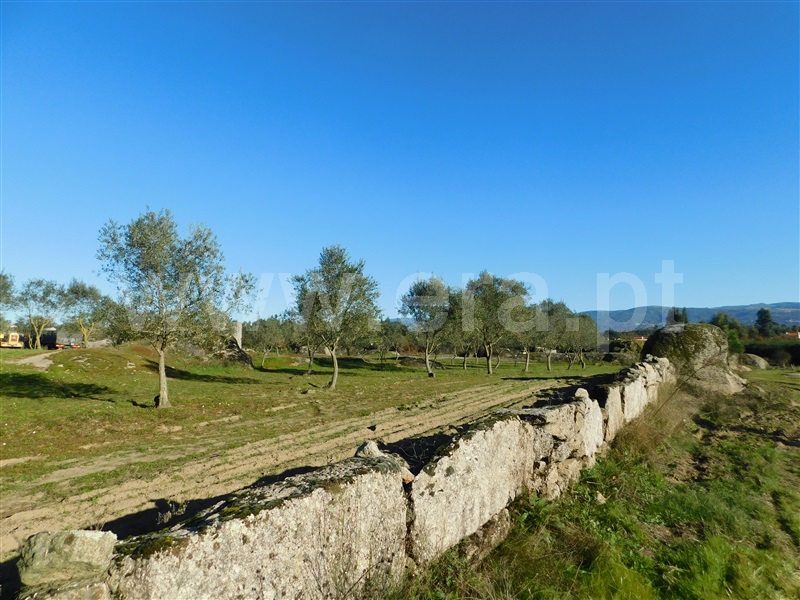 Quinta  Seia, Paranhos - 1452968 - 7