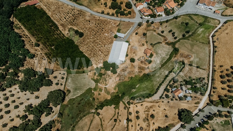 Quinta  Seia, Paranhos - 1490977 - 4